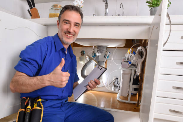 Best Plumbing System Maintenance  in Felton, DE